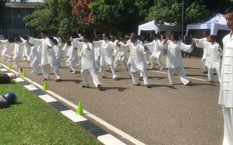 SLTCAG12
